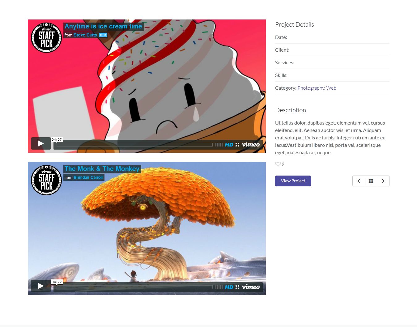 Portfolio format video