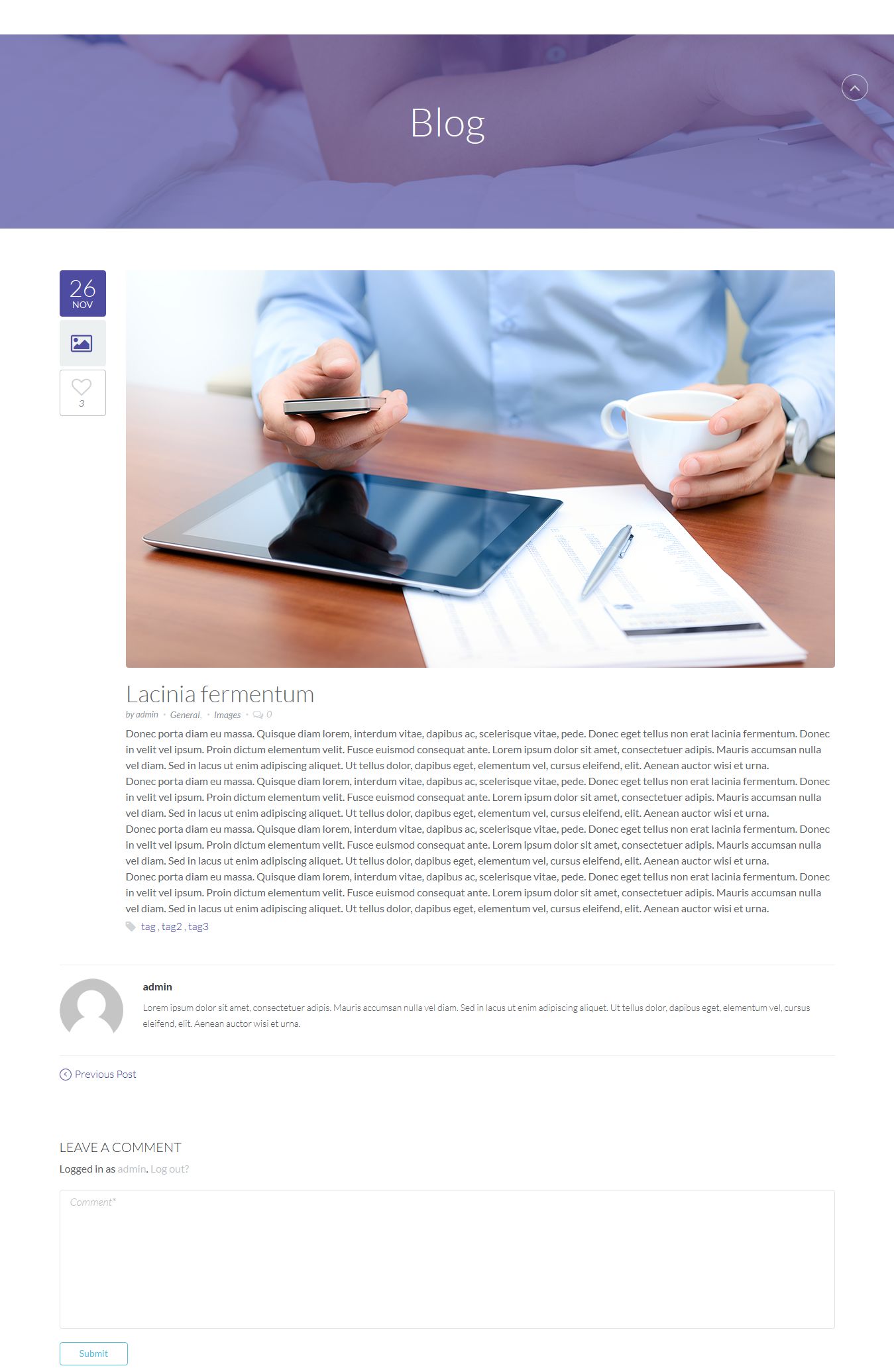 Single Blog Page Layout