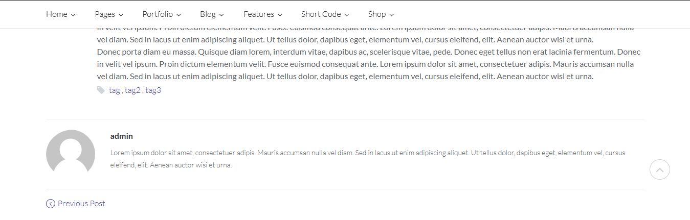 Single Blog Page Layout